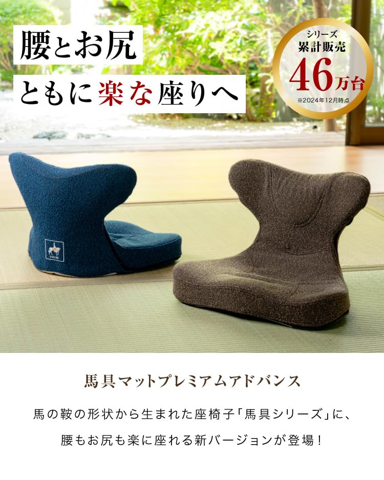 （プロイデア） 馬具マットプレミアム 　ブルー Amazon.co.jp: PROIDEA 馬具マットプレミアムアドバンス, 腰